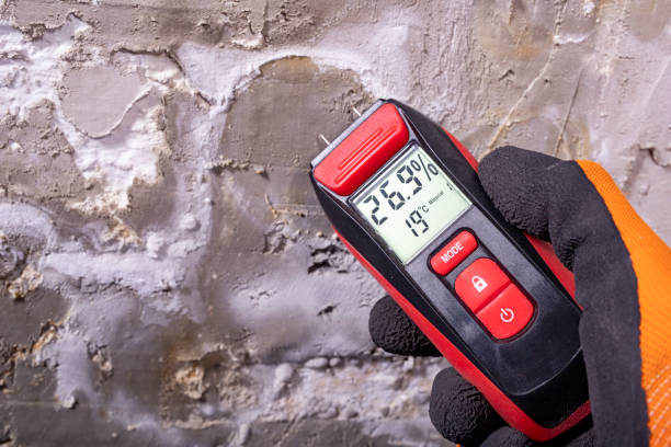 Best Mold Damage Repair  in Campbelltown, PA