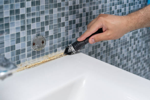 Best Black Mold Removal  in Campbelltown, PA