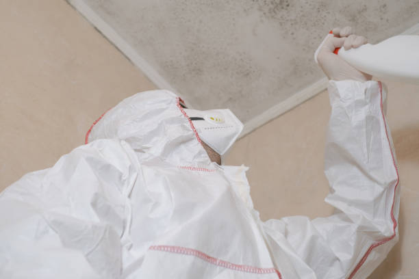 Best Mold Cleaning Services  in Campbelltown, PA