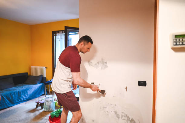 Best Mold Testing  in Campbelltown, PA