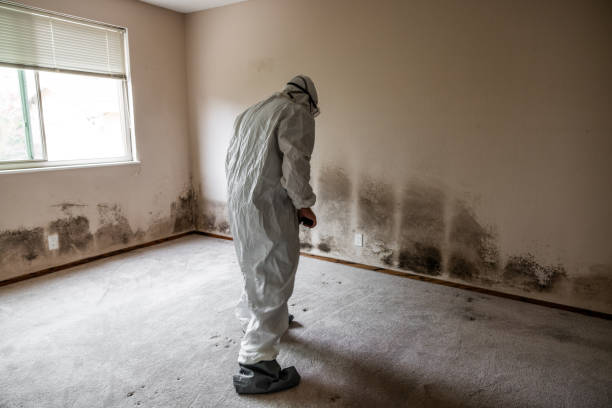 Best Certified Mold Removal  in Campbelltown, PA