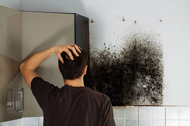 Best Fast Mold Removal  in Campbelltown, PA